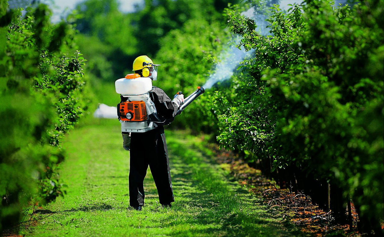 Pest and Disease Control in the Garden: Environmental Methods and Solutions